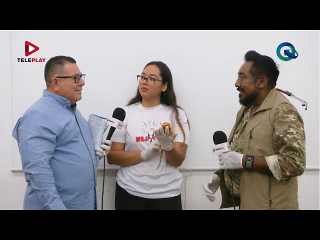 La importancia del control de parásitos en reptiles