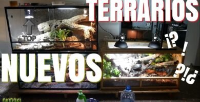 Los mejores fondos para terrarios de reptiles
