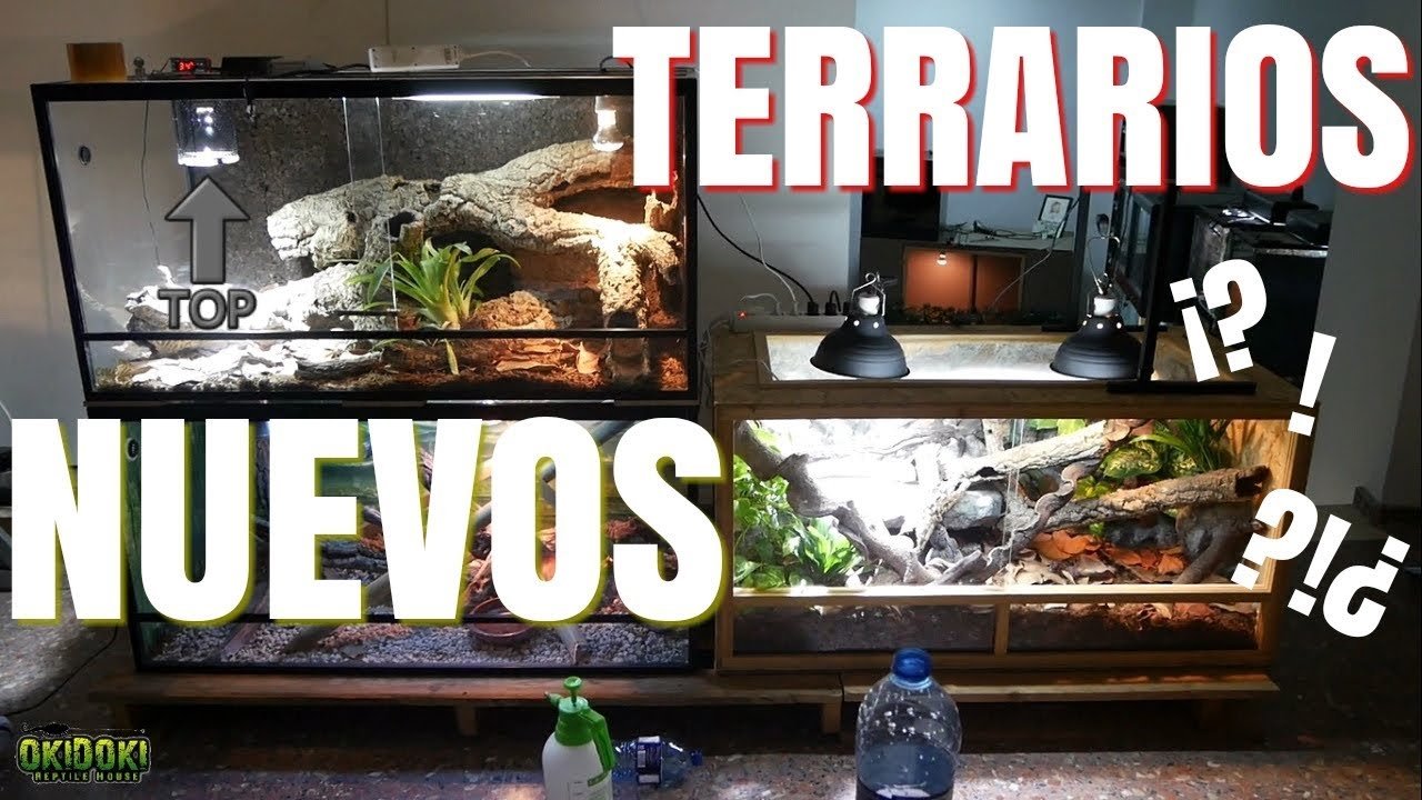 Los mejores fondos para terrarios de reptiles