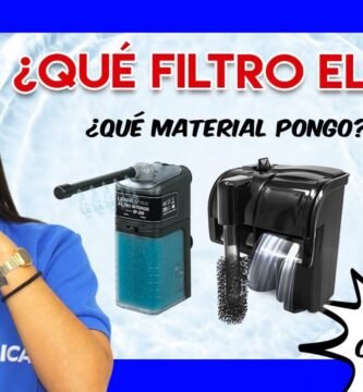 Mejores filtros para terrarios acuáticos de reptiles
