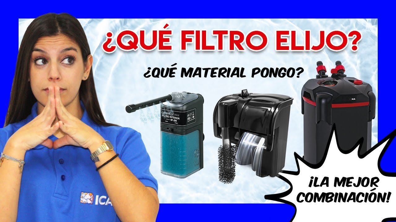 Mejores filtros para terrarios acuáticos de reptiles