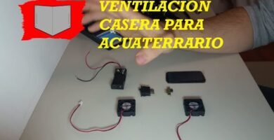 Mejores prácticas para la ventilación de terrarios de reptiles