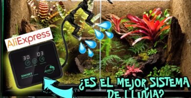 Mejores sistemas de calefacción para terrarios de reptiles