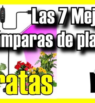 Mejores sistemas de iluminación natural para terrarios
