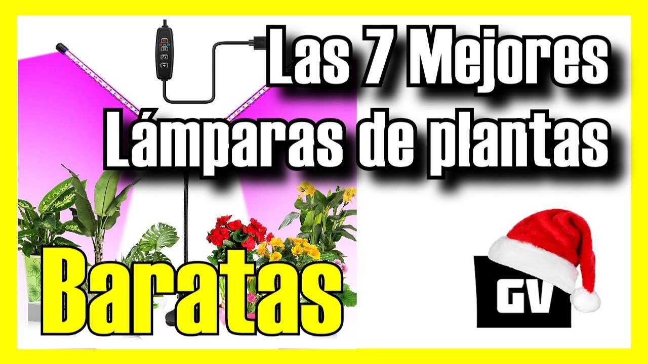 Mejores sistemas de iluminación natural para terrarios