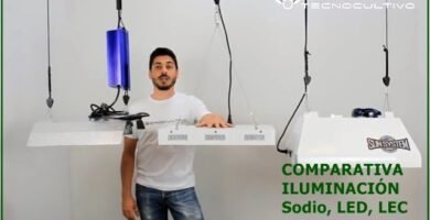 Sistemas de iluminación LED para terrarios: ventajas y desventajas