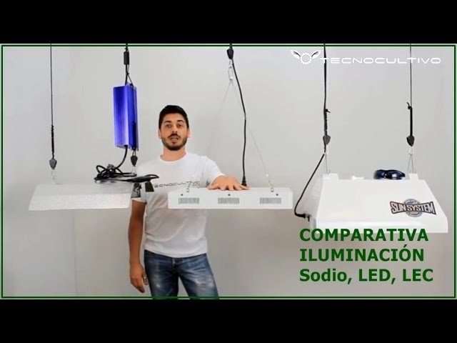 Sistemas de iluminación LED para terrarios: ventajas y desventajas