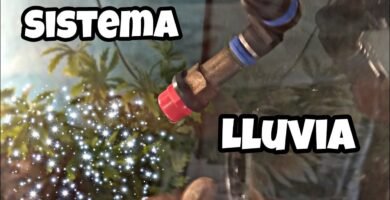 Sistemas de riego automático para terrarios: ¿cómo funcionan?