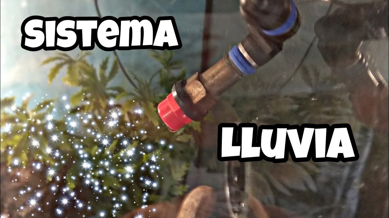 Sistemas de riego automático para terrarios: ¿cómo funcionan?