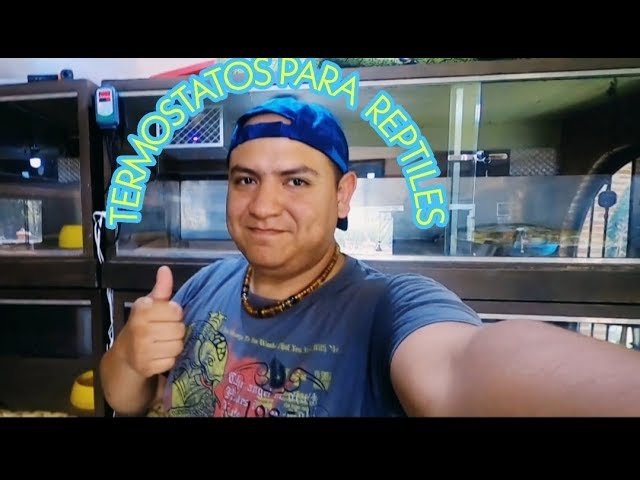Técnicas para la cría de reptiles en terrarios con sistema de control de temperatura