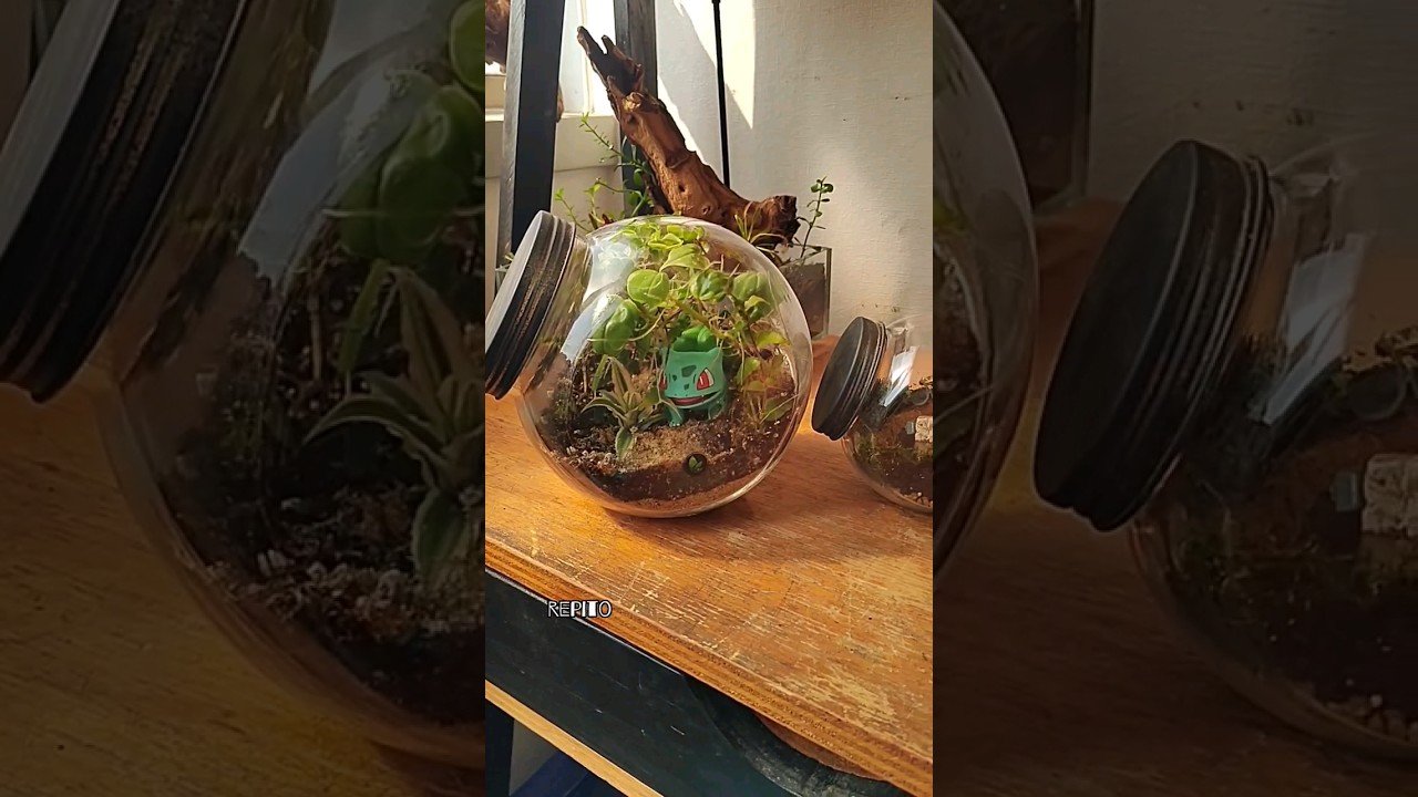 Terrarios con calefacción integrada: ¿son necesarios?