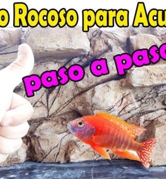 Terrarios con fondo 3D: cómo instalar uno