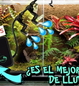 Terrarios con sistema de nebulización: beneficios
