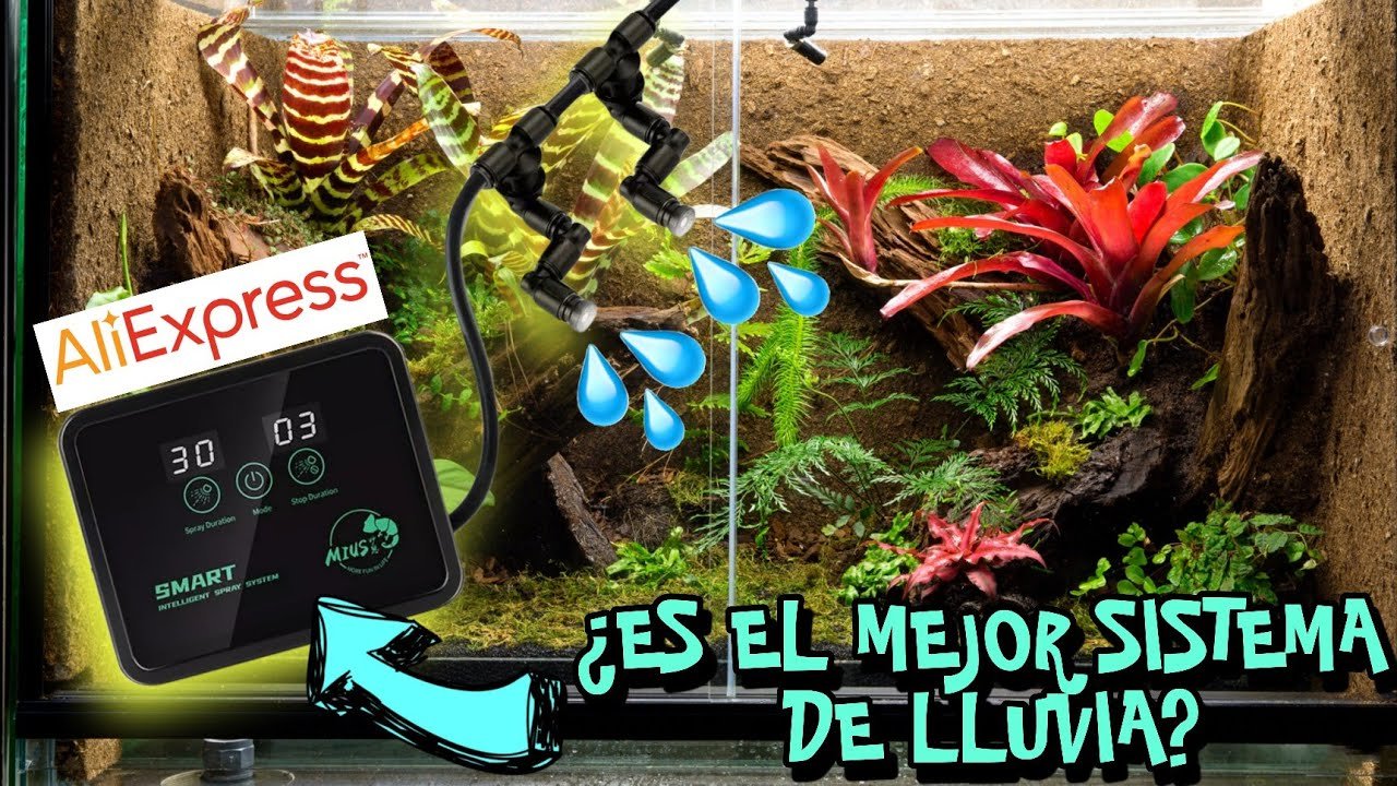 Terrarios con sistema de nebulización: beneficios