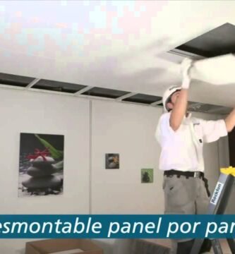 Terrarios con techo desmontable: ventajas y desventajas