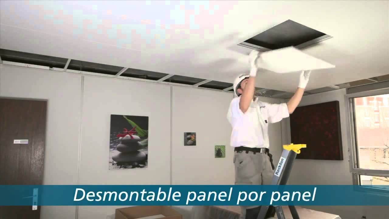 Terrarios con techo desmontable: ventajas y desventajas