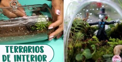 Terrarios de interior vs. exterior: diferencias clave