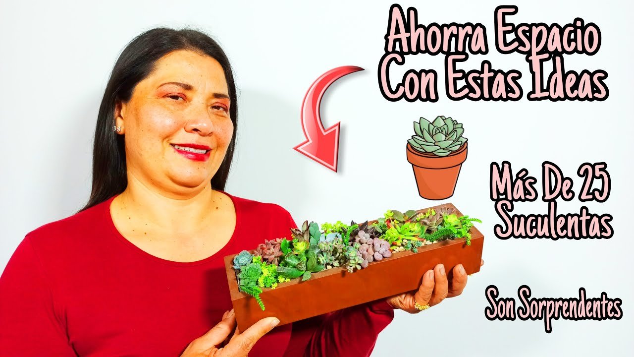 Terrarios de madera: pros y contras