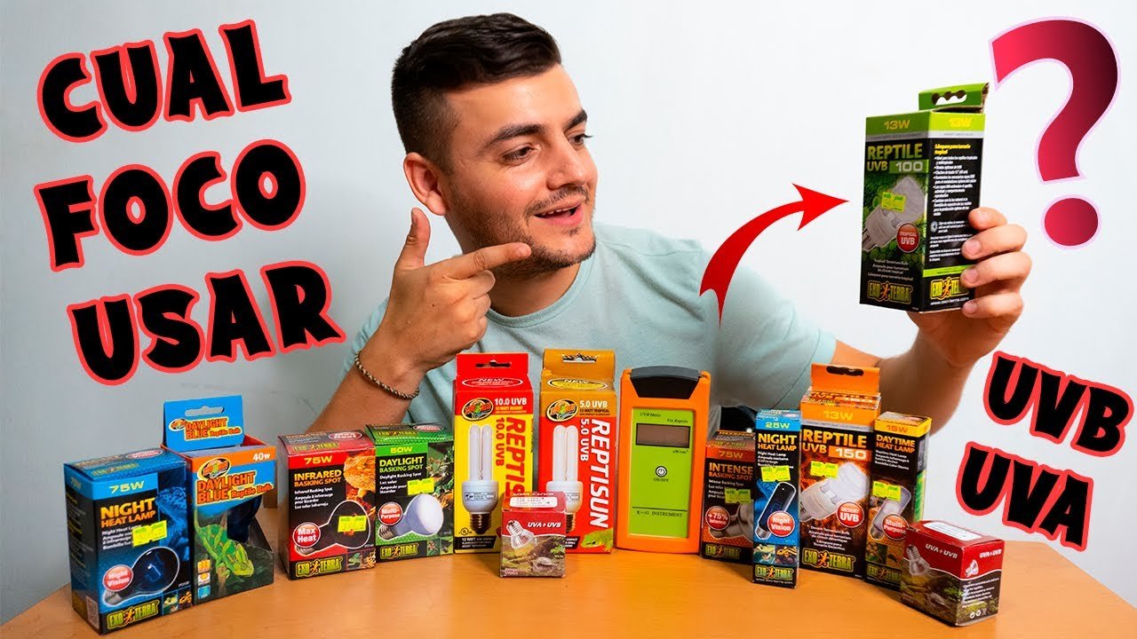 Tipos de lámparas UVB para terrarios