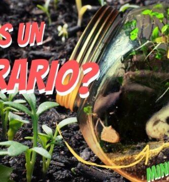 ¿Qué es un terrario tropical?