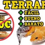 Cómo diseñar una casa cómoda para tu reptil doméstico con bajo presupuesto