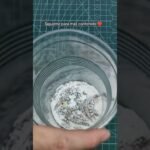Qué alimentos son recomendados para reptiles domésticos paso a paso