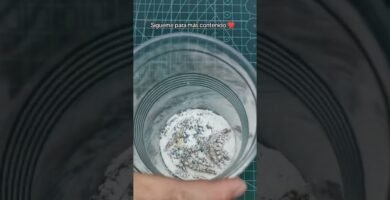 Qué alimentos son recomendados para reptiles domésticos paso a paso