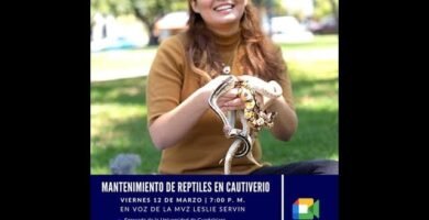Cómo preparar un ambiente adecuado para reptiles en etapa reproductiva en cautiverio