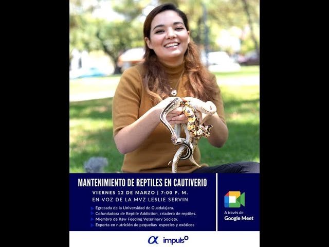 Cómo preparar un ambiente adecuado para reptiles en etapa reproductiva en cautiverio