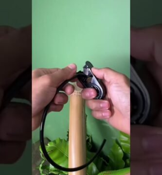 Cómo preparar un ambiente adecuado para reptiles en etapa reproductiva sin experiencia previa