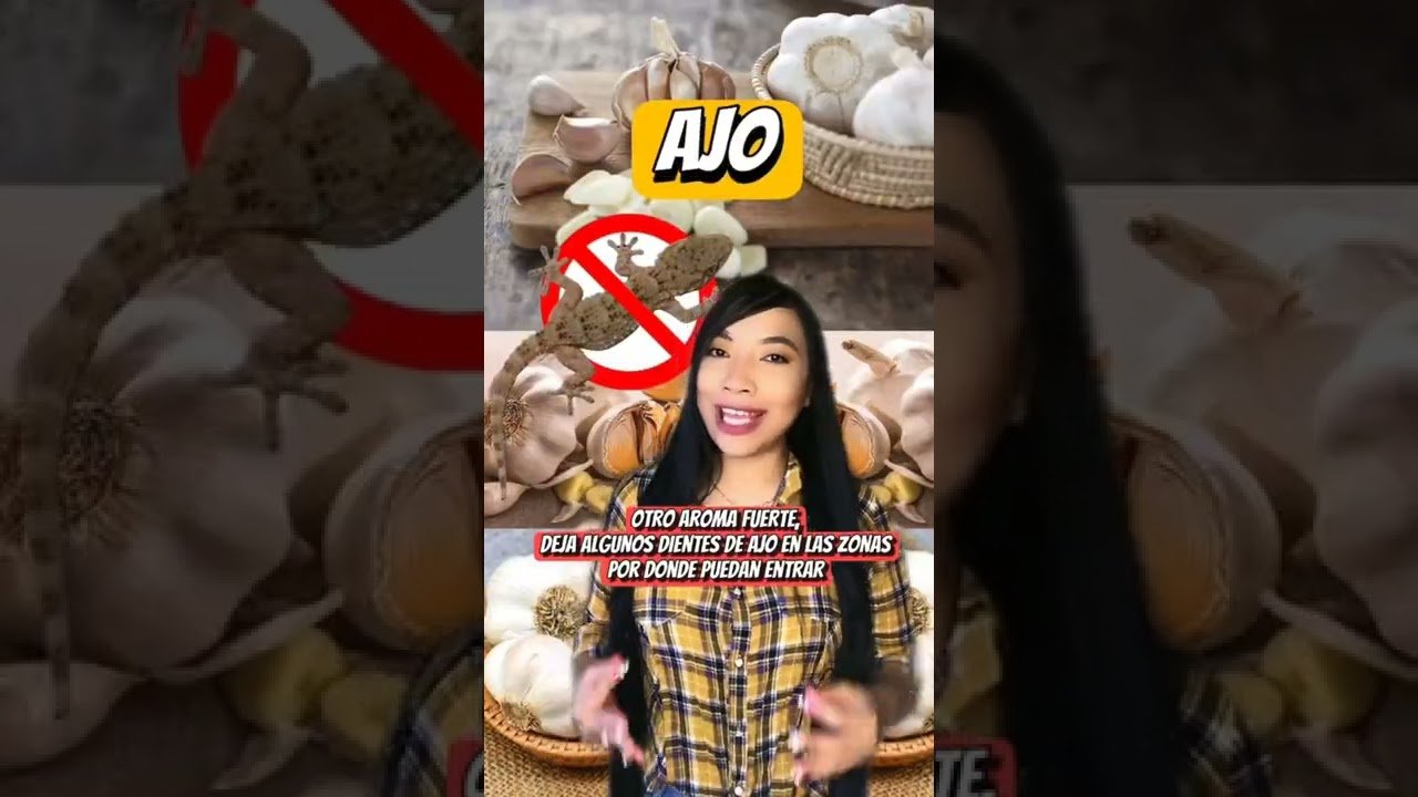 Cómo se comporta un reptil doméstico cuando está estresado desde casa