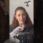 Cuidados especiales durante la reproducción de reptiles sin experiencia previa