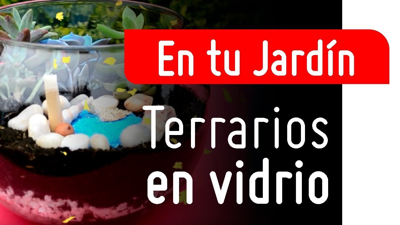 Decoraciones tropicales para terrarios en Ciudad de México