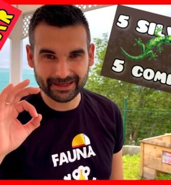 Dieta ideal para reptiles herbívoros en casa con bajo presupuesto