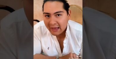 Dieta ideal para reptiles herbívoros en casa con productos accesibles