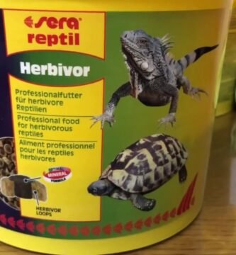 Dieta ideal para reptiles herbívoros en casa según su etapa de vida