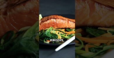 Dieta ideal para reptiles herbívoros en casa sin afectar su digestión
