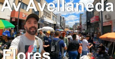 Dónde comprar ropa para reptiles en Buenos Aires