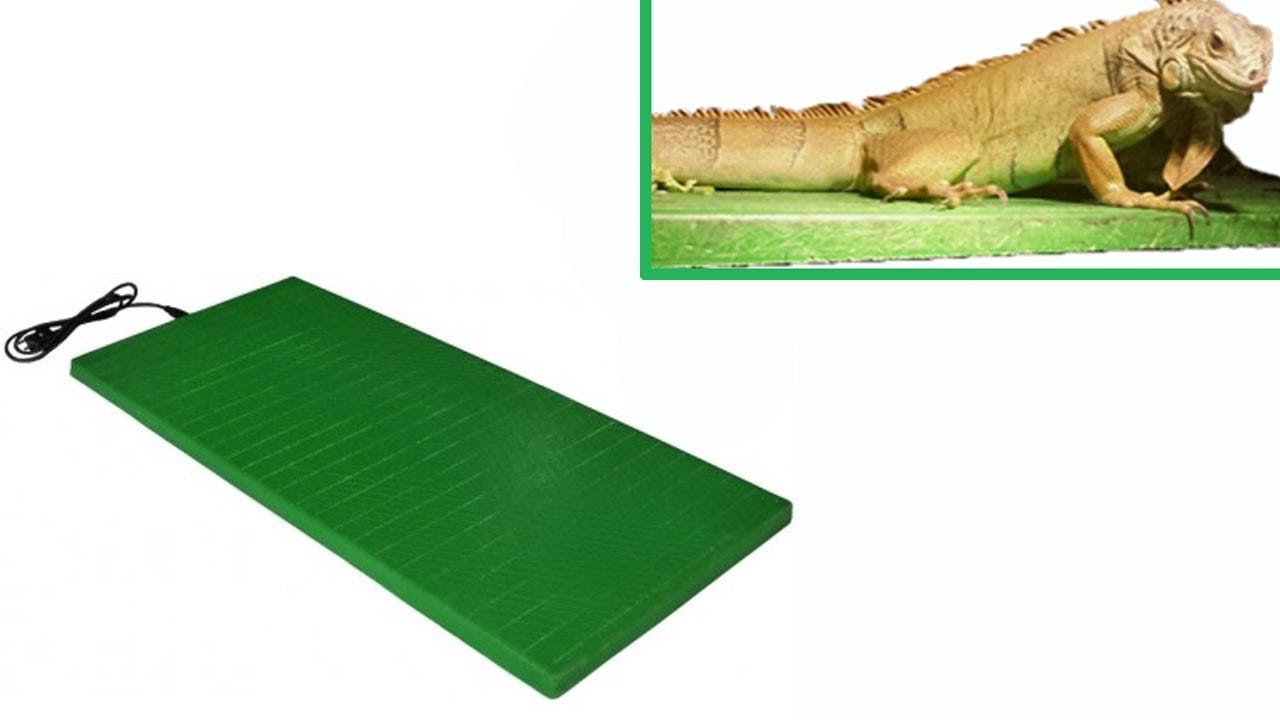 Dónde conseguir calefacción para terrarios en Ciudad de México