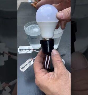 Equipamiento básico para casas de reptiles domésticos sin electricidad