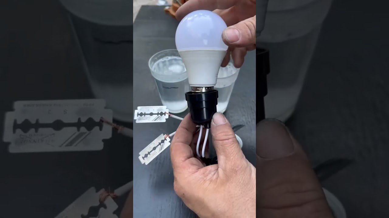 Equipamiento básico para casas de reptiles domésticos sin electricidad