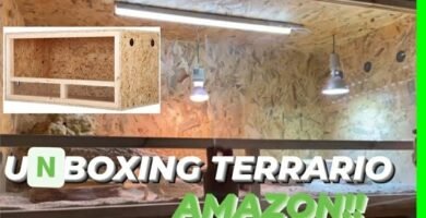 Materiales recomendados para casas de reptiles en interiores adaptadas a reptiles grandes