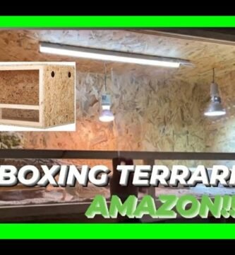 Materiales recomendados para casas de reptiles en interiores con bajo presupuesto