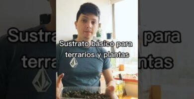 Materiales recomendados para casas de reptiles en interiores con materiales ecológicos