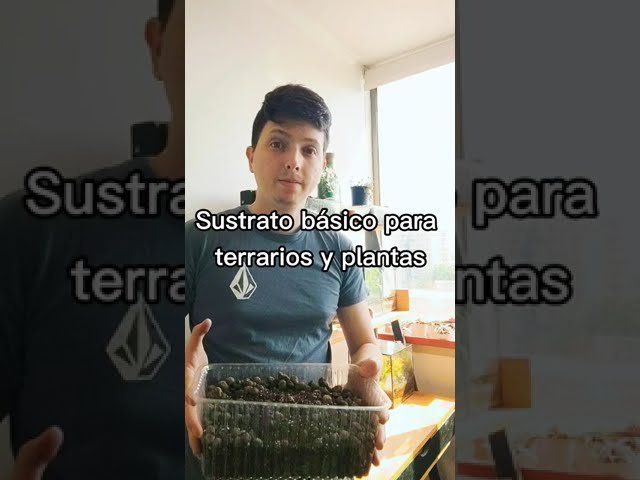 Materiales recomendados para casas de reptiles en interiores con materiales ecológicos