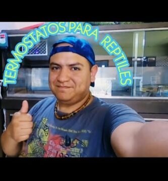 Materiales recomendados para casas de reptiles en interiores en climas cálidos
