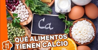 Qué alimentos son recomendados para reptiles domésticos con fuentes de calcio naturales