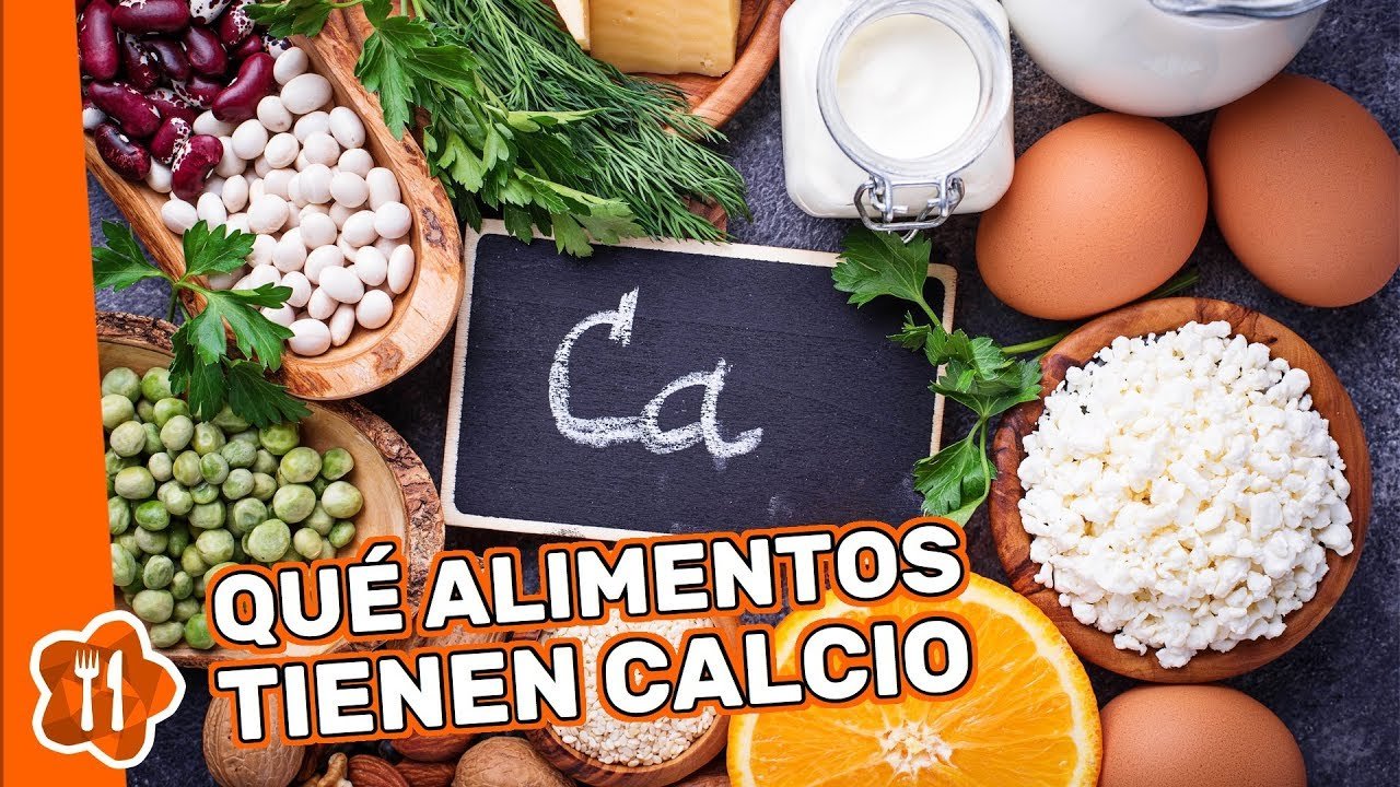 Qué alimentos son recomendados para reptiles domésticos con fuentes de calcio naturales