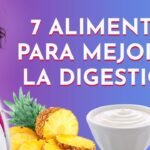 Qué alimentos son recomendados para reptiles domésticos sin afectar su digestión