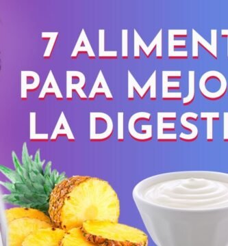 Qué alimentos son recomendados para reptiles domésticos sin afectar su digestión